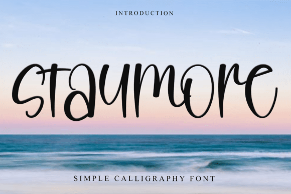 Staymore: A Unique Font for Creative Designers and Professionals