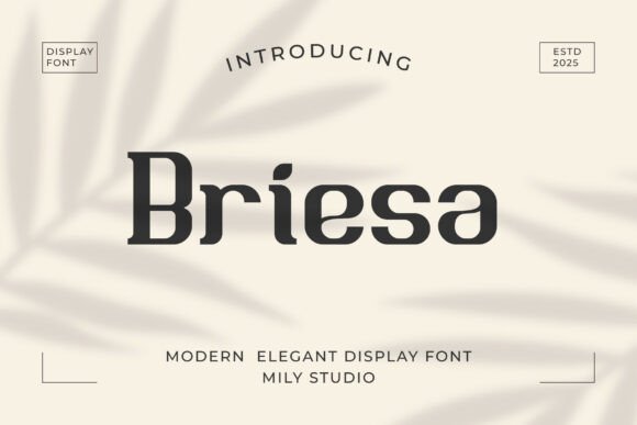 Why Briesa Is the Perfect Display Font for Modern Design Projects