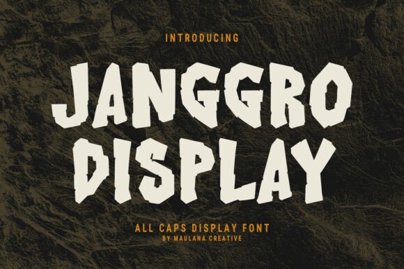 Why Janggro Is Capturing the Attention of Designers and Brands Alike